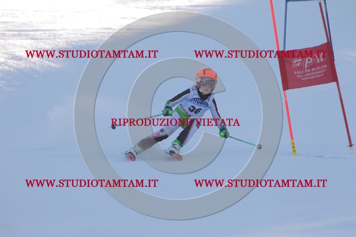 MAT_2768.JPG