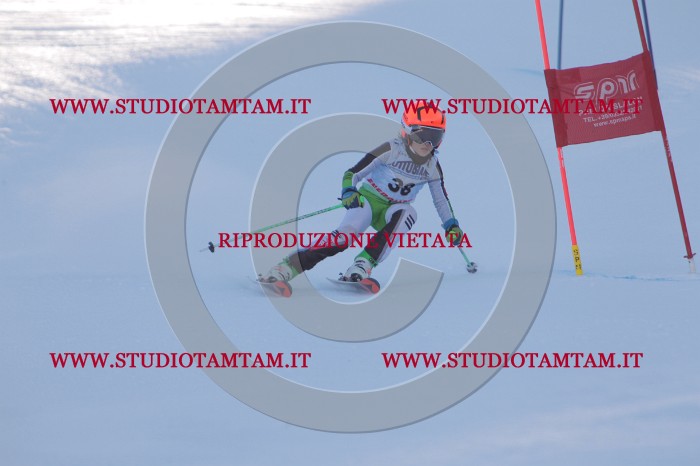 MAT_2769.JPG