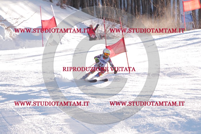 MAT_2779.JPG