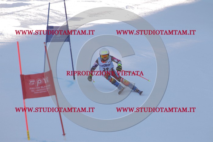 MAT_2782.JPG