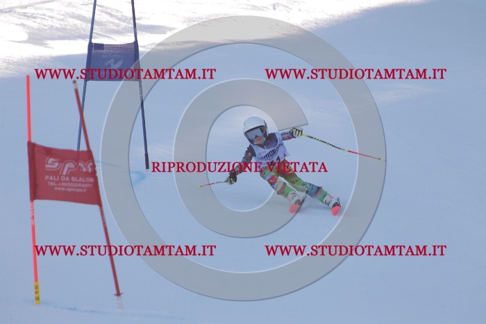 MAT_2797.JPG