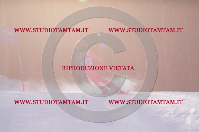 MAT_2846.JPG