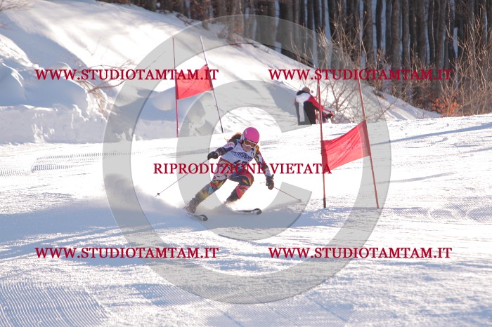 MAT_2861.JPG