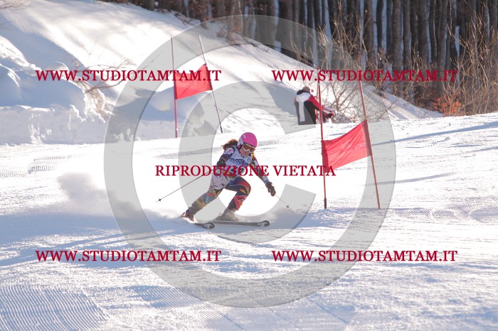 MAT_2862.JPG