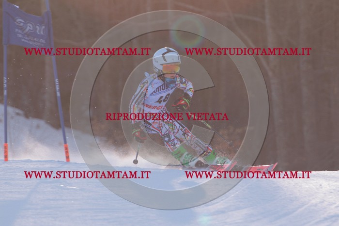 MAT_2879.JPG