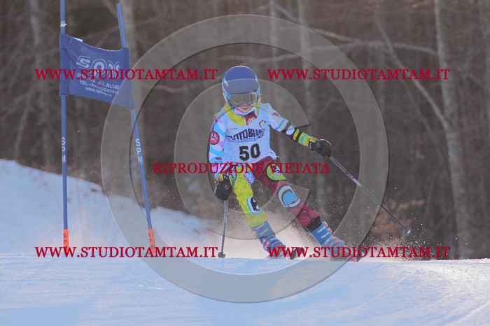 MAT_2906.JPG