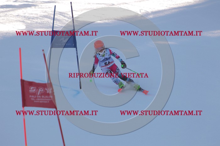 MAT_2953.JPG