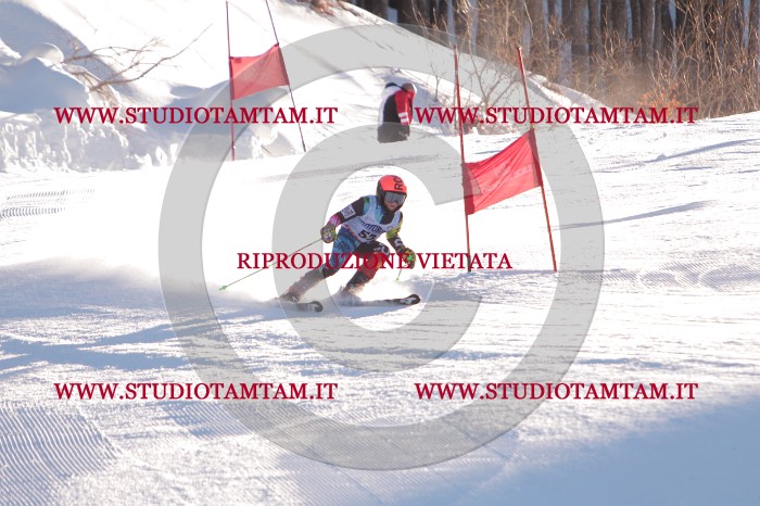 MAT_2961.JPG