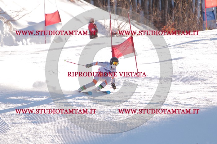 MAT_2981.JPG