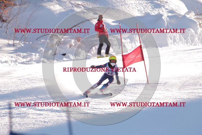 MAT_3067.JPG