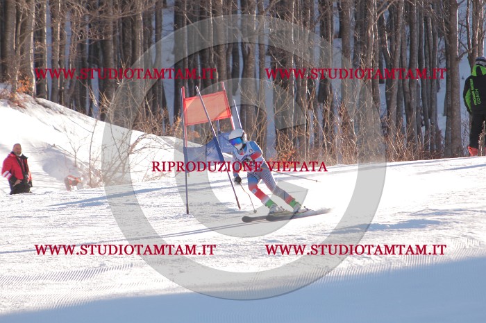MAT_3089.JPG