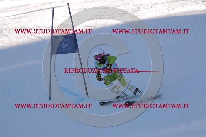 MAT_3137.JPG