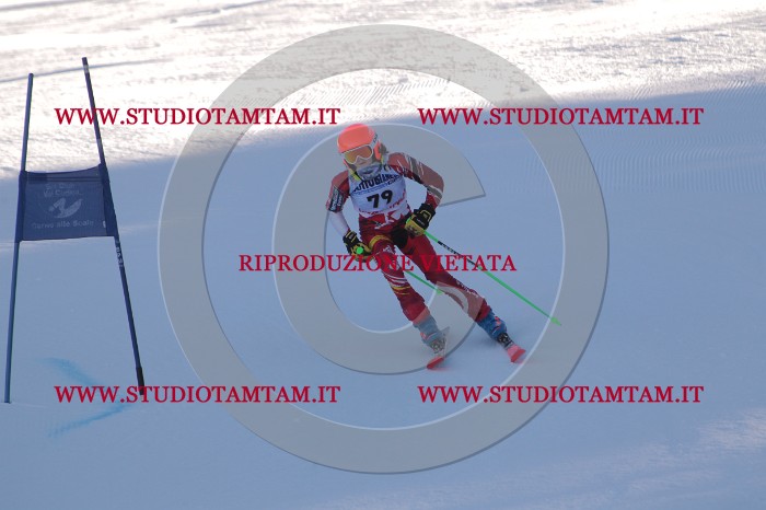 MAT_3199.JPG