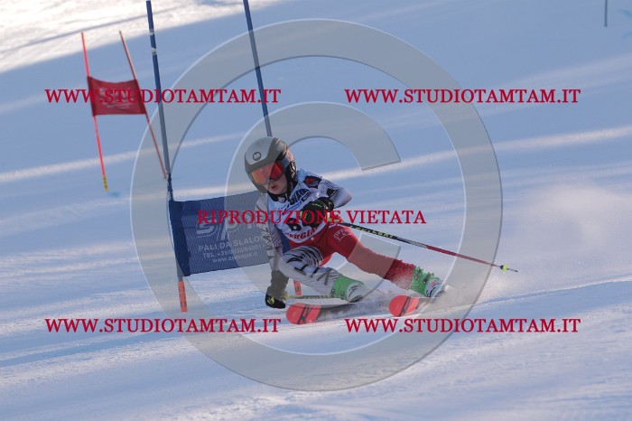 MAT_3297.JPG