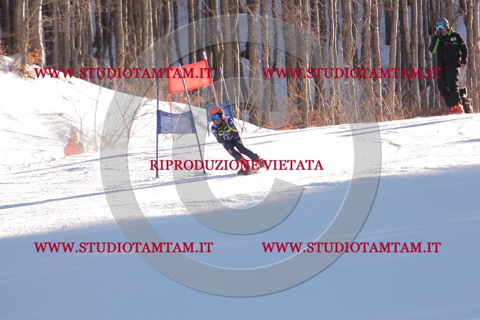 MAT_3333.JPG