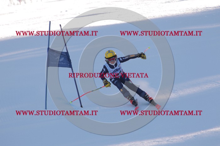 MAT_3390.JPG