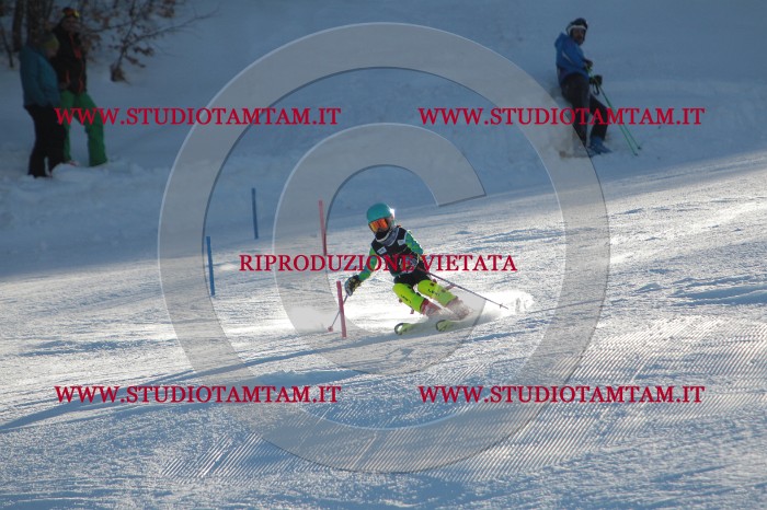 MAT_3065.JPG
