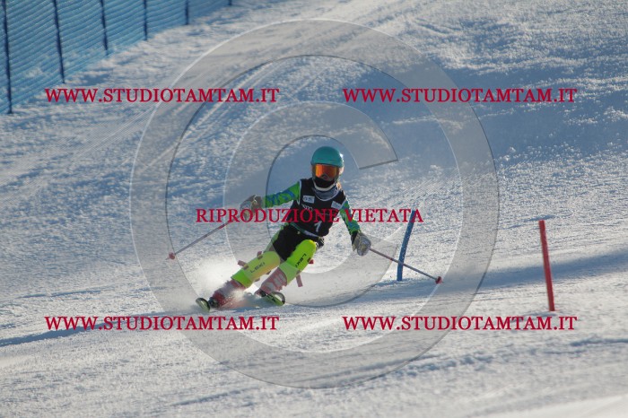 MAT_3068.JPG