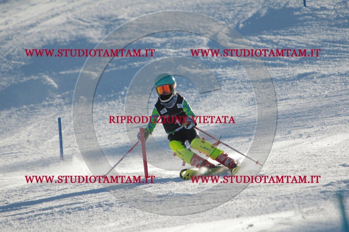 MAT_3069.JPG