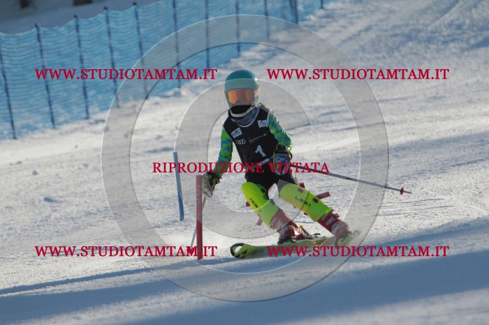 MAT_3071.JPG