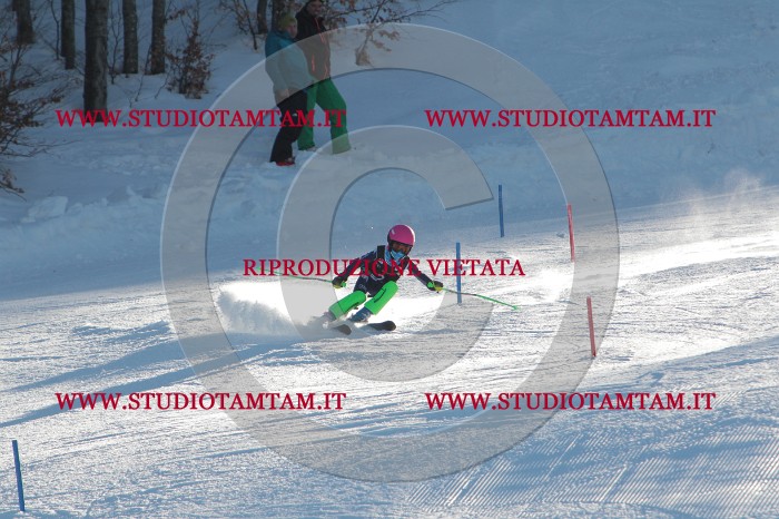 MAT_3073.JPG