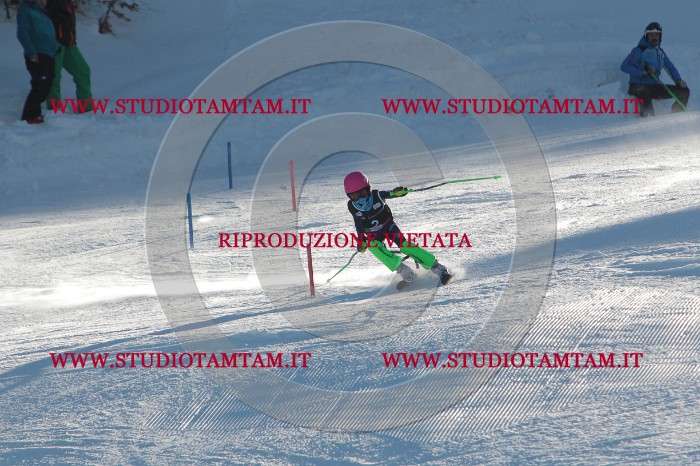 MAT_3074.JPG
