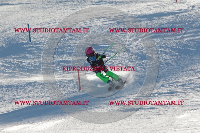 MAT_3076.JPG