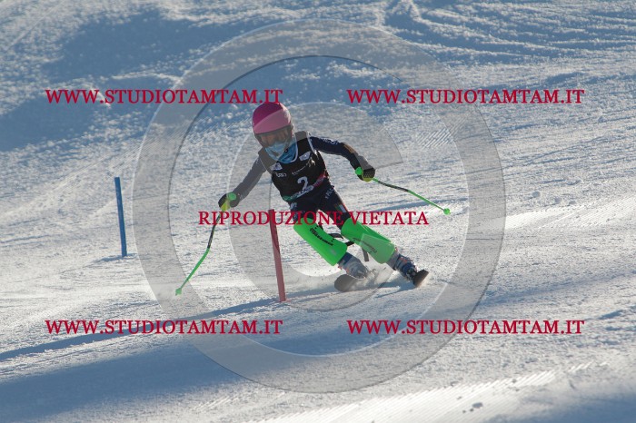 MAT_3078.JPG