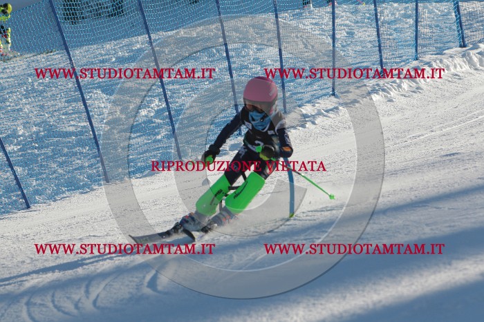 MAT_3082.JPG