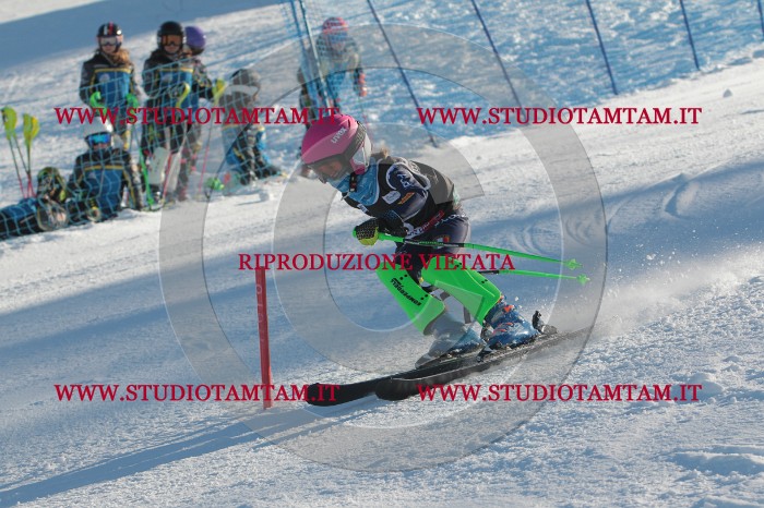 MAT_3083.JPG