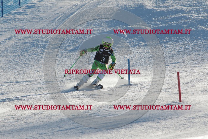 MAT_3087.JPG