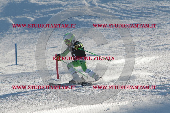MAT_3089.JPG