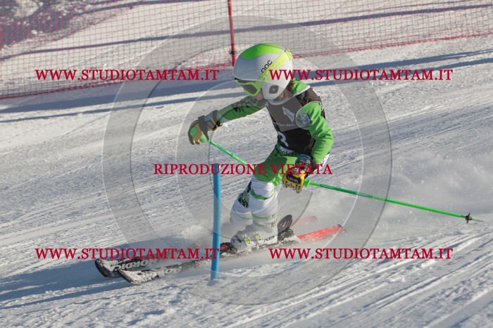 MAT_3095.JPG