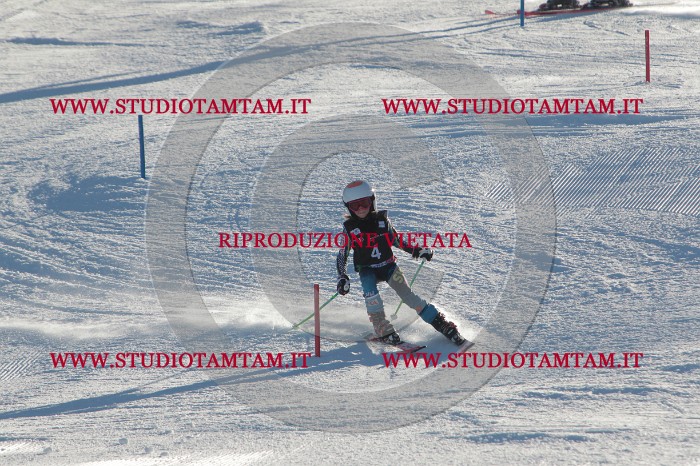 MAT_3097.JPG