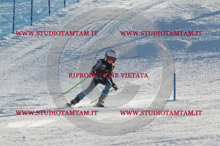 MAT_3100.JPG