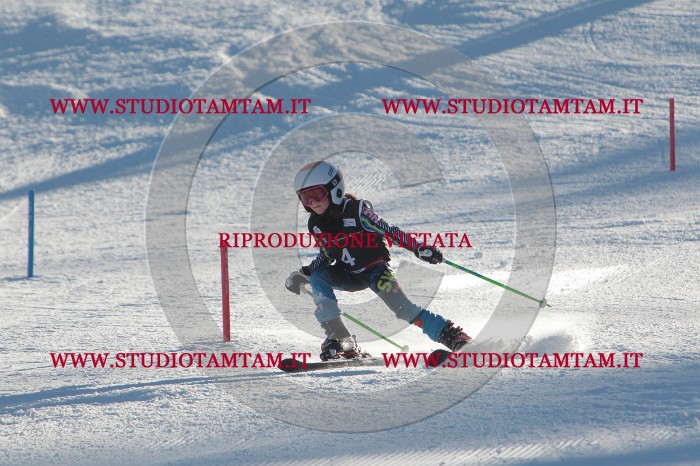 MAT_3102.JPG