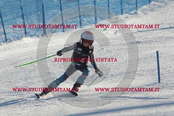 MAT_3104.JPG