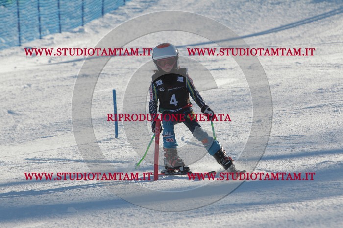 MAT_3105.JPG