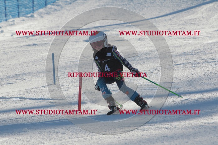 MAT_3106.JPG