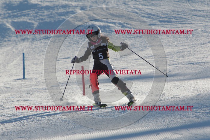 MAT_3110.JPG