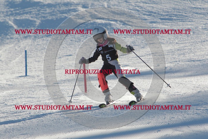 MAT_3111.JPG