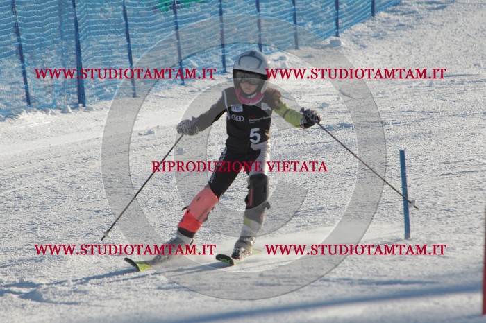 MAT_3113.JPG
