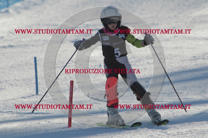 MAT_3114.JPG