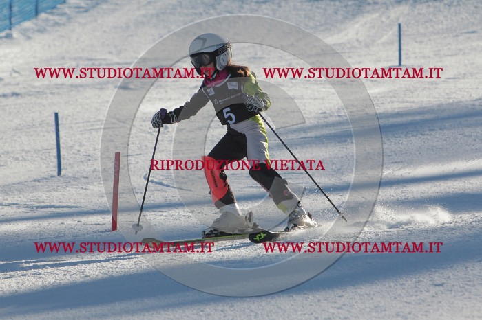 MAT_3115.JPG
