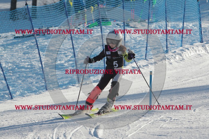 MAT_3117.JPG