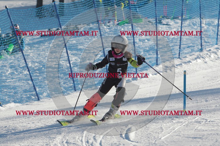 MAT_3118.JPG
