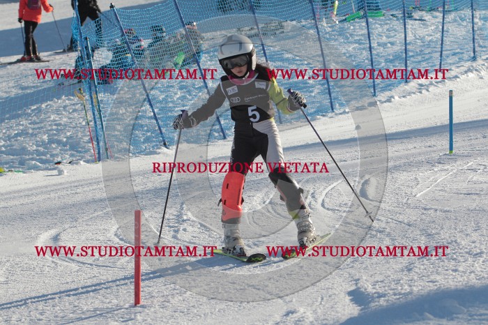 MAT_3119.JPG