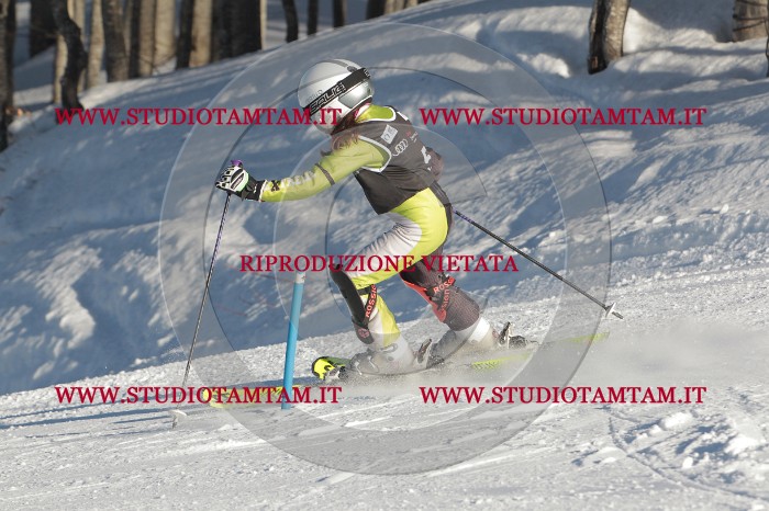MAT_3122.JPG