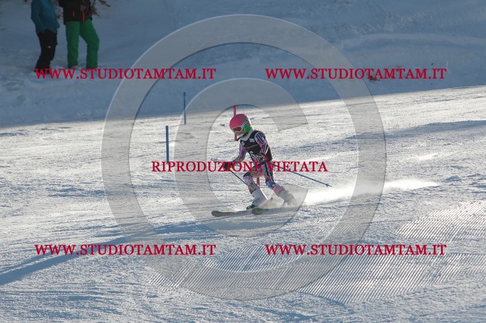 MAT_3124.JPG