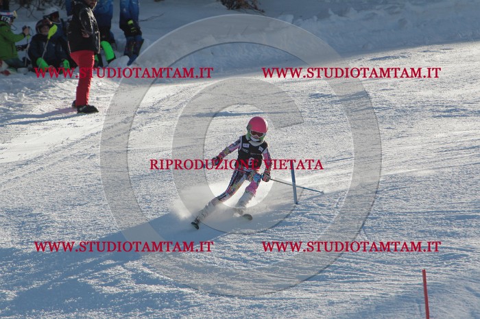 MAT_3125.JPG